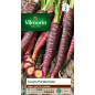 Semi di borsa Carota Violet Purple Haze Semi di borsa Carota Violet Purple Haze
