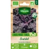 Sachet de graines Chou Frisé ( Kale ) Rouge Scarlet BIO