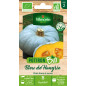 Sacchetto di semi di zucca blu biologico dall'Ungheria Sacchetto di semi di zucca blu biologico dall'Ungheria