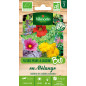 Sacchetto di semi di fiori per cucinare in mix ORGANICO