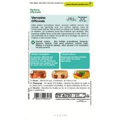 Samentüte Echtes Eisenkraut