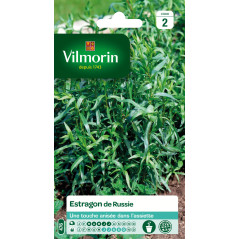 Sachet de graines Estragon de Russie