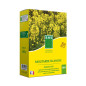 Senape bianca BHS, cartone da 500grs, 100m2