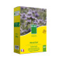 Phacelia BHS , cartone da 500g, 100m2 Phacelia BHS , cartone da 500g, 100m2