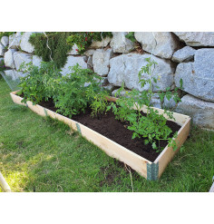 Natural wood vegetable garden square 2000 x 400mm