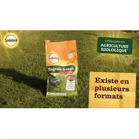 Professional turf fertiliser, 10 kg bag