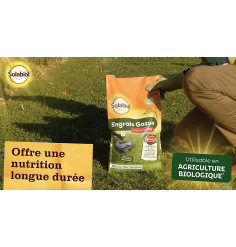 Professional turf fertiliser, 10 kg bag