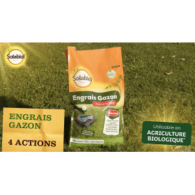 Professional turf fertiliser, 10 kg bag