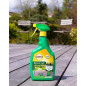 Sapone nero - Pronto all'uso, flacone da 1L Sapone nero - Pronto all'uso, flacone da 1L