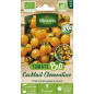 Organic Clementine Tomato seed bag - orange cocktail Organic Clementine Tomato seed bag - orange cocktail