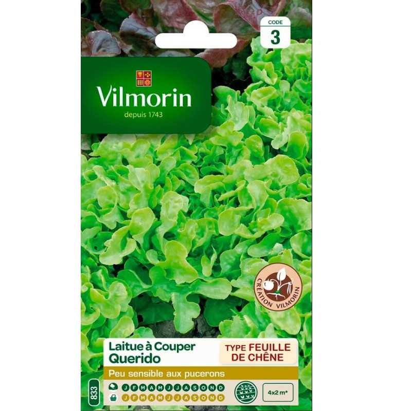 Kit de graines potager facile, Vilmorin - 9 graines de légumes