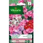 Sacchetto di semi Garofano Semplice Dolcezza varia Sacchetto di semi Garofano Semplice Dolcezza varia