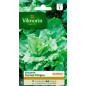 Seed bag Chicory Escarole Anjou cone Seed bag Chicory Escarole Anjou cone