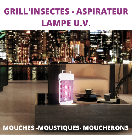 Lampe U.V. Grill'insectes avec Aspirateur ACTO - La protection économique  et silencieuse contre les insectes