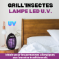 ACTO Lámpara de Uv LED de la parrilla de insectos 30 m² - Tu aliado contra los insectos voladores