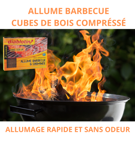 Allumer un barbecue - Technique d'allumage de la cheminée 