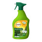 Falena di bosso Pronto all'uso - spruzzatore da 750 ml Falena di bosso Pronto all'uso - spruzzatore da 750 ml