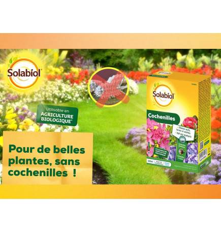 solabiol cochenille hiver printemps - GardenStuff