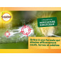 Anti-mealybugs SOLABIOL : Mineral oil destructive of mealybugs - Box of 500ml