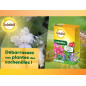 Anti-Wollläuse SOLABIOL : Mineralöl, das Wollläuse zerstört - Schachtel mit 500 ml Anti-Wollläuse SOLABIOL : Mineralöl, das Wollläuse zerstört - Schachtel mit 500 ml