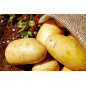 Solabiol SOGERM90 Anti-Germ Potato - Sachets Diffusers - 90 grs Solabiol SOGERM90 Anti-Germ Potato - Sachets Diffusers - 90 grs