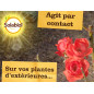 Solabiol Spruzzatore per afidi pronto all'uso 750ml | Soluzione rapida Solabiol Spruzzatore per afidi pronto all'uso 750ml | Soluzione rapida
