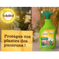 Solabiol Tratamiento de áfidos listo para usar Pulverizador 750ml | Solución rápida