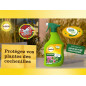 Trattamento Cocciniglie pronte all'uso Solabiol - Spruzzatore 750ML