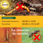 Solabiol SOSOL600 Insectes du Sol- Boite de 600 G