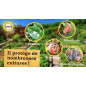 SOLABIOL SOARMIPAL750 - Malattie dell'orto - Spruzzatore da 750 ml SOLABIOL SOARMIPAL750 - Malattie dell'orto - Spruzzatore da 750 ml