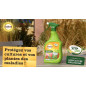 SOLABIOL SOARMIPAL750 - Vegetable Garden Diseases - 750ml Sprayer