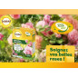 SOLABIOL SOTHIO400 - Trattamento delle Malattie delle Rose - 400 gr SOLABIOL SOTHIO400 - Trattamento delle Malattie delle Rose - 400 gr