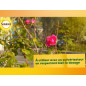 SOLABIOL SOTHIO400 - Trattamento delle Malattie delle Rose - 400 gr SOLABIOL SOTHIO400 - Trattamento delle Malattie delle Rose - 400 gr