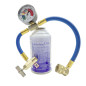 Pack 1 bomboletta Duracool 12a e 1 tubo flessibile di ricarica R134a a bassa pressione Pack 1 bomboletta Duracool 12a e 1 tubo flessibile di ricarica R134a a bassa pressione