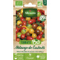 Sacchetto di Semi di Pomodoro Ciliegino Bio Vilmorin: Colori e Sapori in Mix Sacchetto di Semi di Pomodoro Ciliegino Bio Vilmorin: Colori e Sapori in Mix
