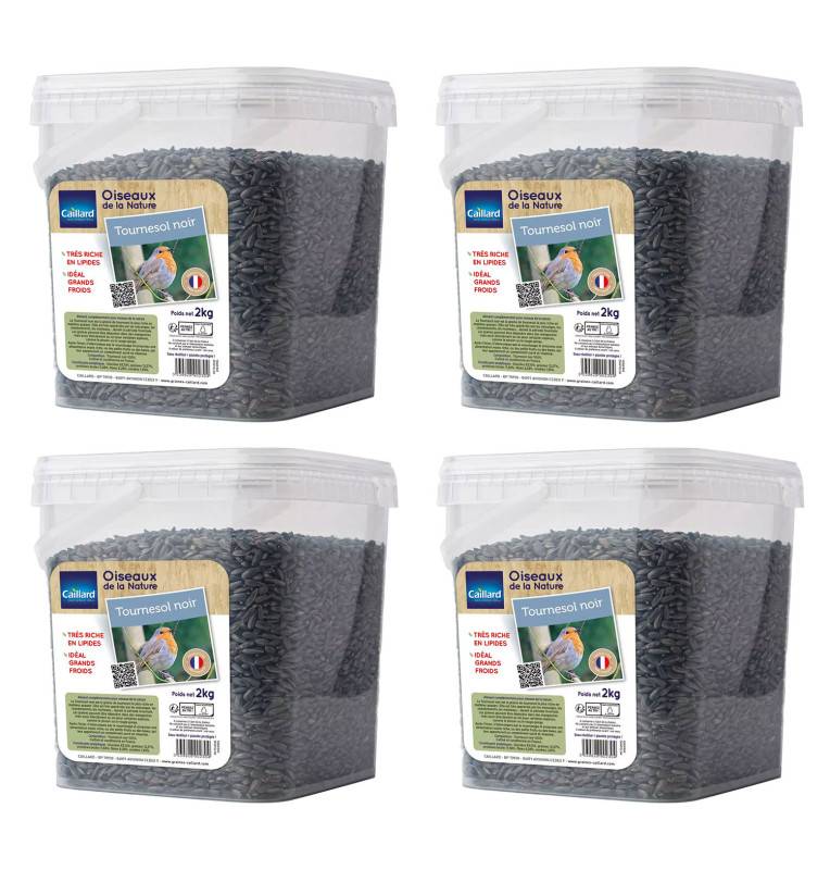 Lot de 4 seaux de graines de tournesol noir