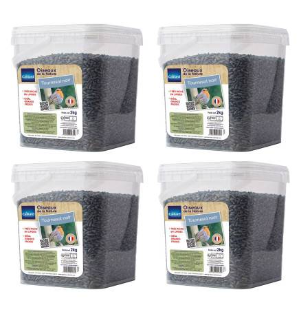 Lot de 4 seaux de graines de tournesol noir