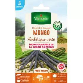 Mung beans 5 meters