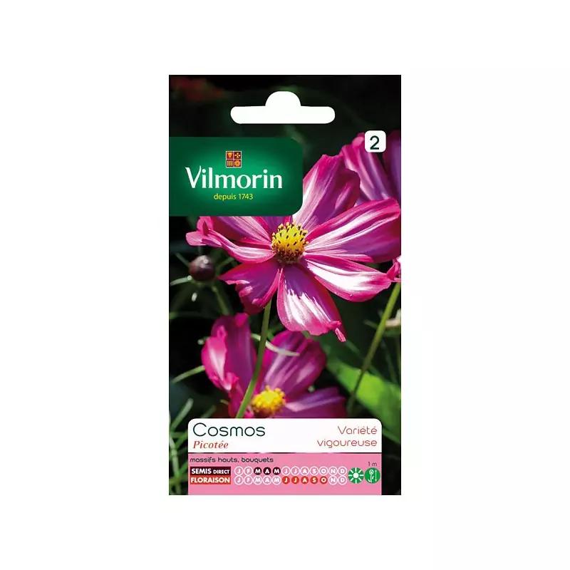 Seeds Cosmos pocketed bags Vilmorin
