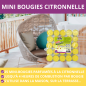 Lot de 25 Bougies Citronnelle Compactes: Protection 4 heures contre les Moustiques