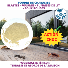 ACTO Spécial Rampants Poudre - Solution Écologique contre Fourmis, Blattes et Plus