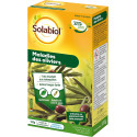 Olive Tree Diseases of Solabiol: Protect Your Olive Trees Naturally