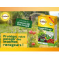 Insetti dell'orto: trattamento all'olio di arancia