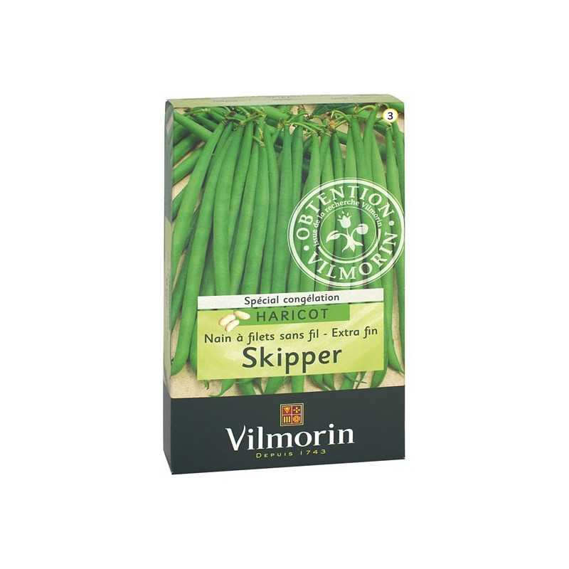 Samen Zwergbohne ohne Fäden SKIPPER Samen Zwergbohne ohne Fäden SKIPPER