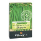 Graines de Haricot nain sans fil SKIPPER Graines de Haricot nain sans fil SKIPPER