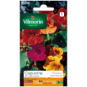 Semillas Capuchina trepadora DE LOBB variada Vilmorin - Hasta 3 m