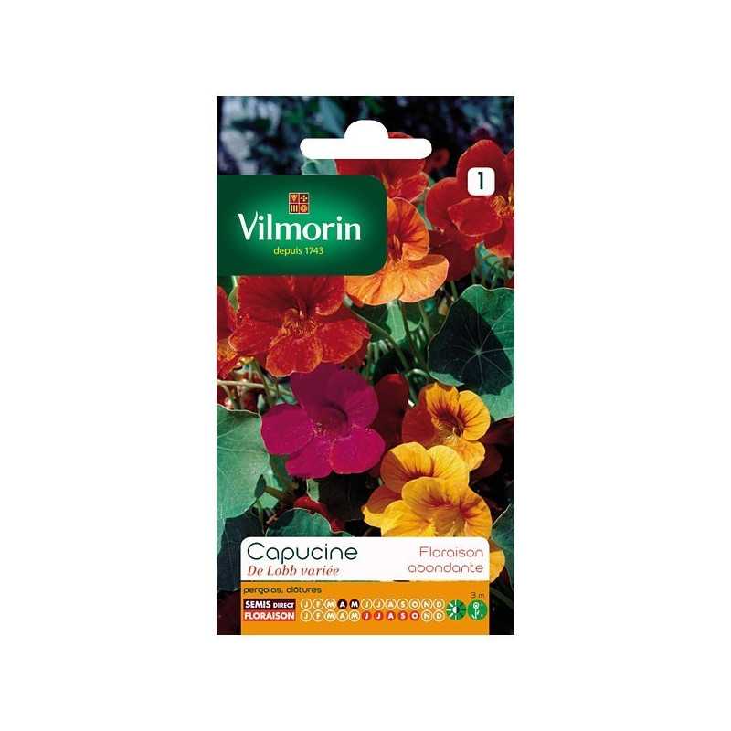Semillas Capuchina trepadora DE LOBB variada Vilmorin - Hasta 3 m Semillas Capuchina trepadora DE LOBB variada Vilmorin - Hasta 3 m