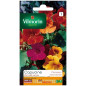 Climbing Nasturtium DE LOBB Mixed Seeds Vilmorin - Up to 3 m Tall Climbing Nasturtium DE LOBB Mixed Seeds Vilmorin - Up to 3 m Tall