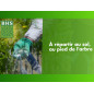 BHS Brunissement des conifères : Reverdir et fortifier les conifères - étui de 1.5 kg