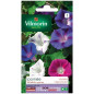 Sachet graines Ipomée Volubilis Variée